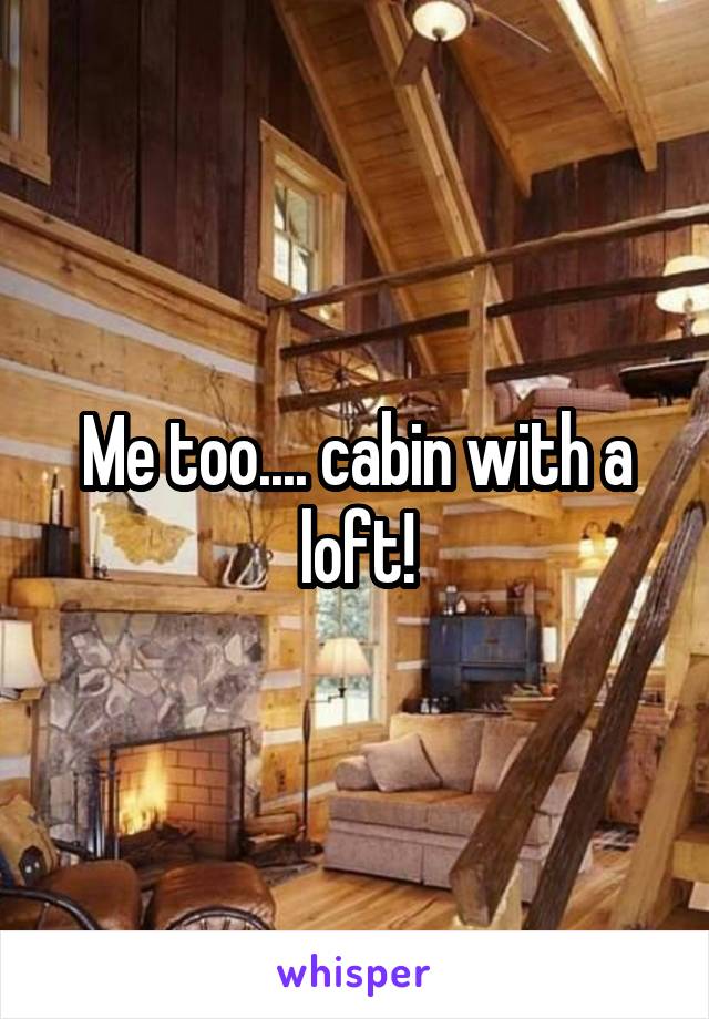 Me too.... cabin with a loft!