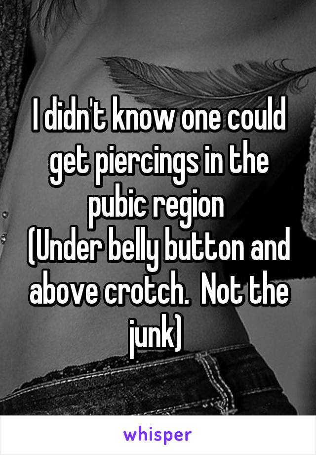 I didn't know one could get piercings in the pubic region 
(Under belly button and above crotch.  Not the junk) 