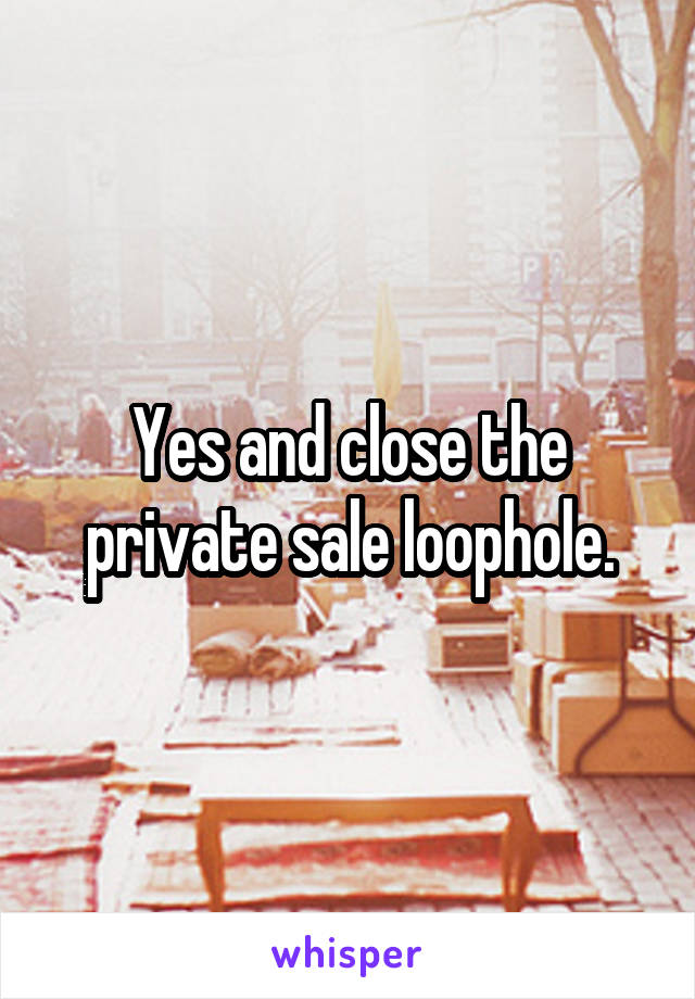 Yes and close the private sale loophole.