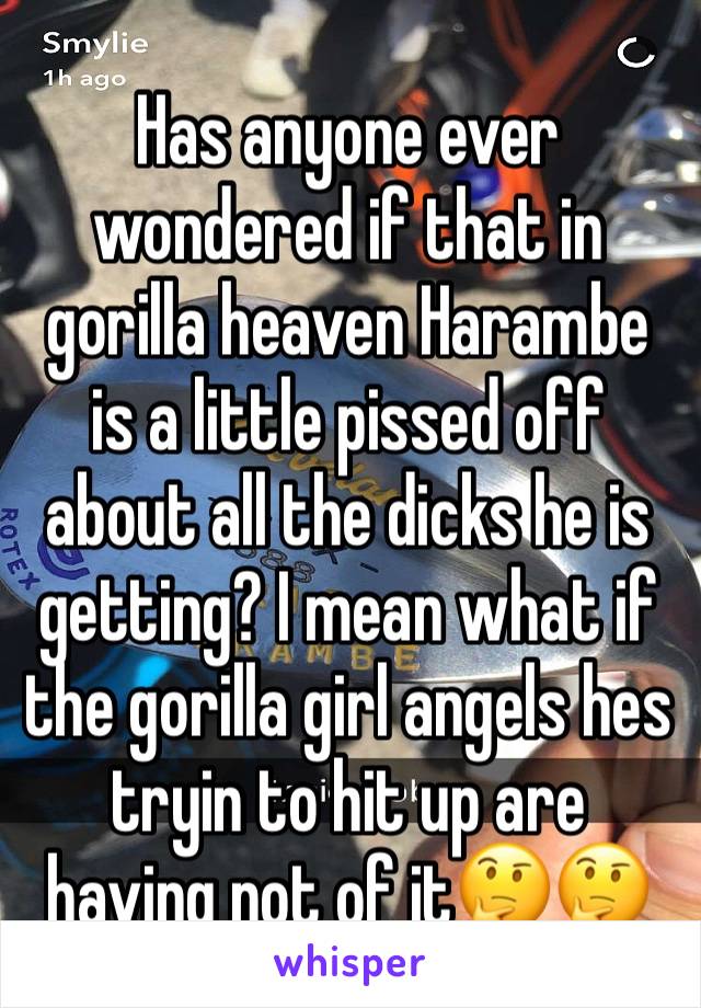 Has anyone ever wondered if that in gorilla heaven Harambe is a little pissed off about all the dicks he is getting? I mean what if the gorilla girl angels hes tryin to hit up are having not of it🤔🤔