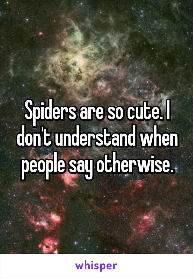 Spiders are so cute. I don't understand when people say otherwise.
