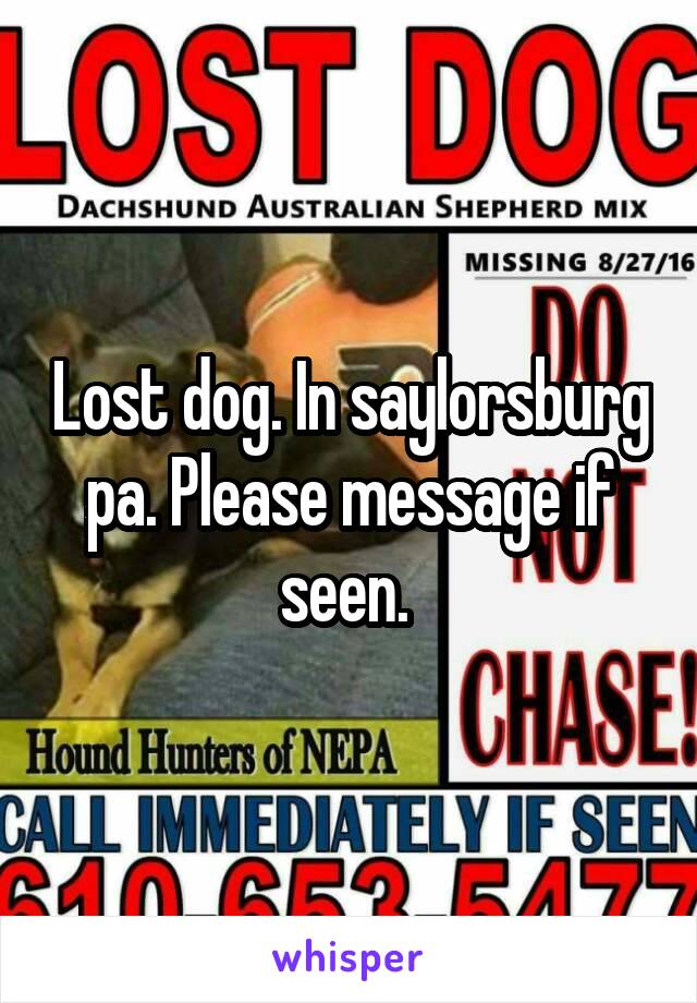 Lost dog. In saylorsburg pa. Please message if seen. 