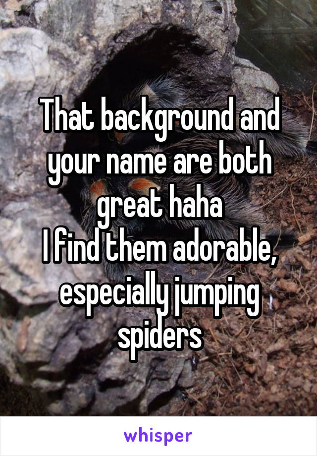 That background and your name are both great haha
I find them adorable, especially jumping spiders