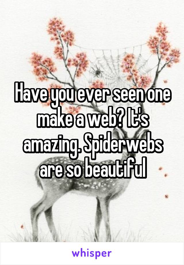 Have you ever seen one make a web? It's amazing. Spiderwebs are so beautiful