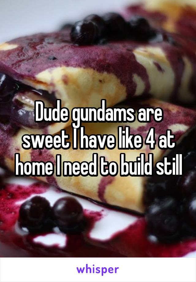 Dude gundams are sweet I have like 4 at home I need to build still