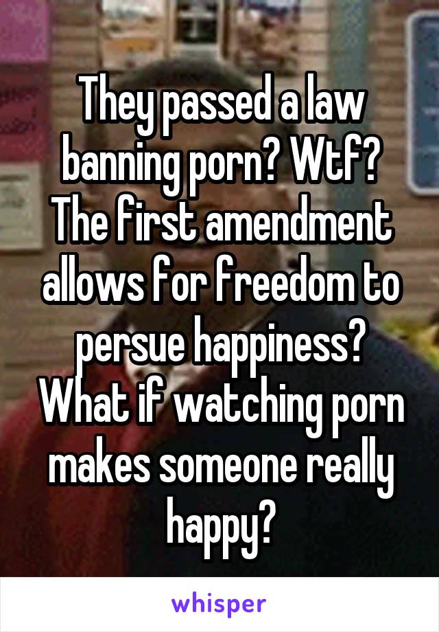 They passed a law banning porn? Wtf? The first amendment allows for freedom to persue happiness? What if watching porn makes someone really happy?