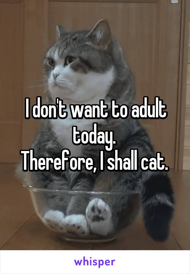 I don't want to adult today. 
Therefore, I shall cat. 