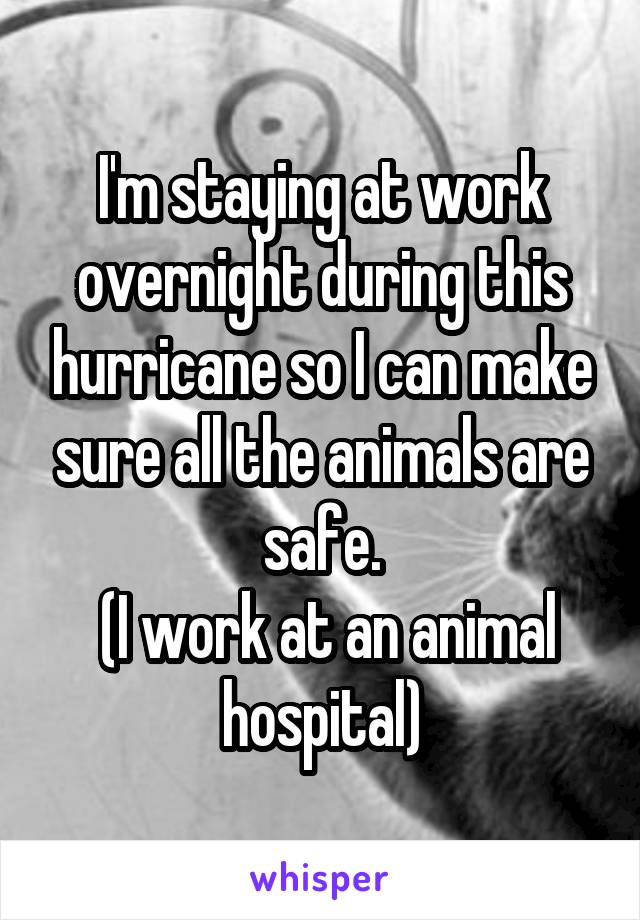I'm staying at work overnight during this hurricane so I can make sure all the animals are safe.
 (I work at an animal hospital)