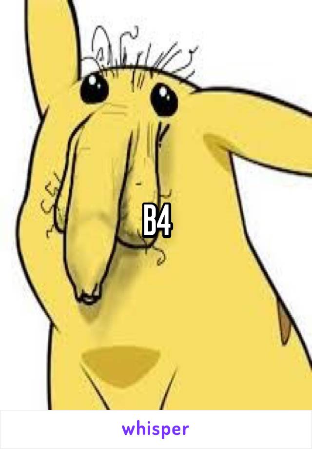 B4