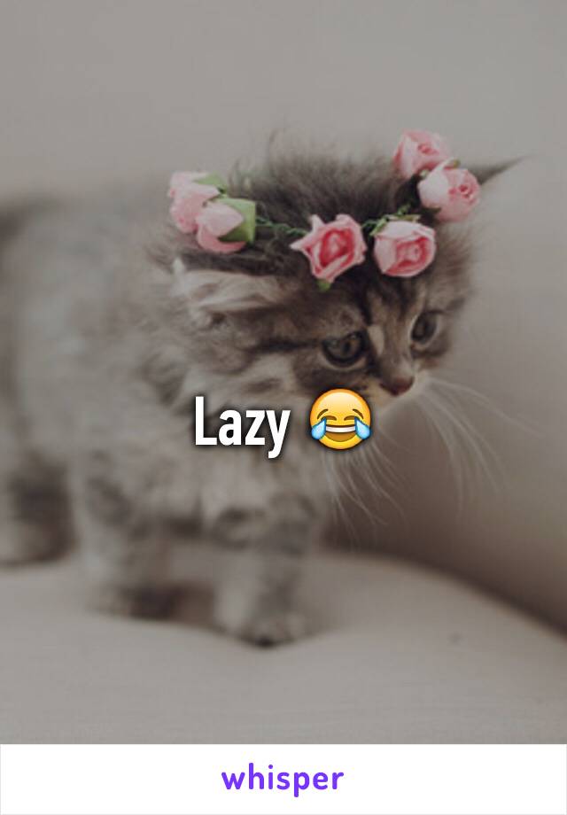 Lazy 😂