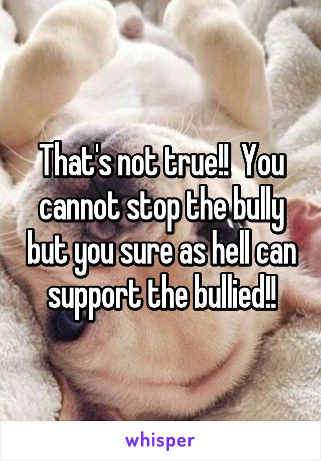 That's not true!!  You cannot stop the bully but you sure as hell can support the bullied!!