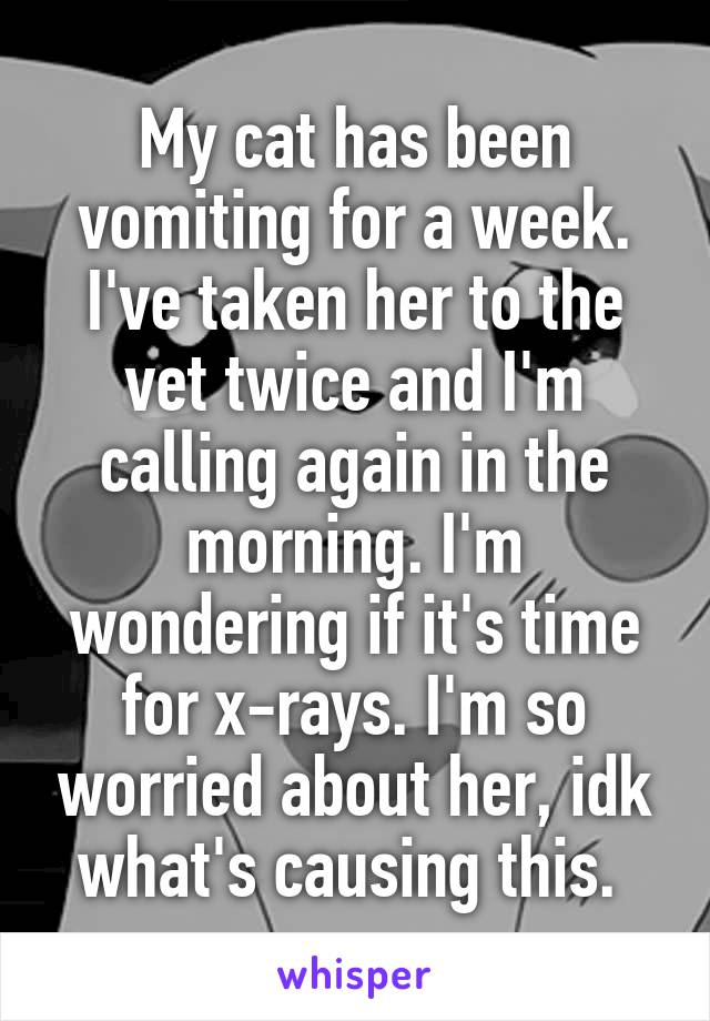 My cat has been vomiting for a week. I've taken her to the vet twice and I'm calling again in the morning. I'm wondering if it's time for x-rays. I'm so worried about her, idk what's causing this. 