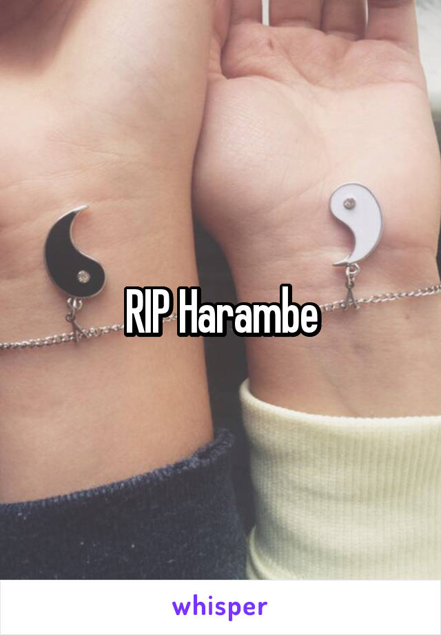 RIP Harambe