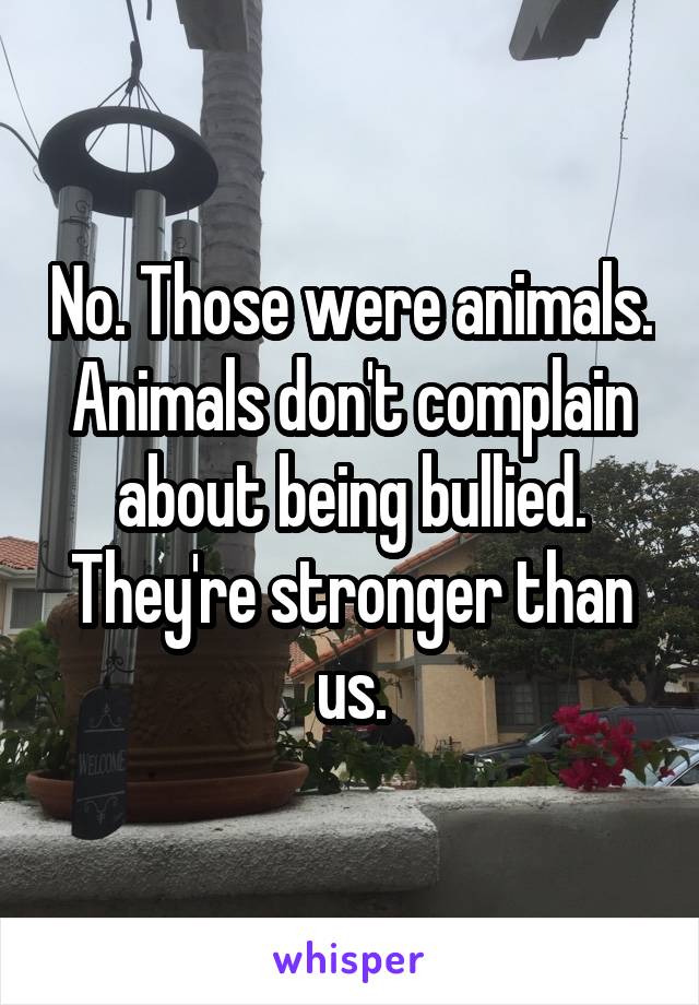 No. Those were animals. Animals don't complain about being bullied. They're stronger than us.