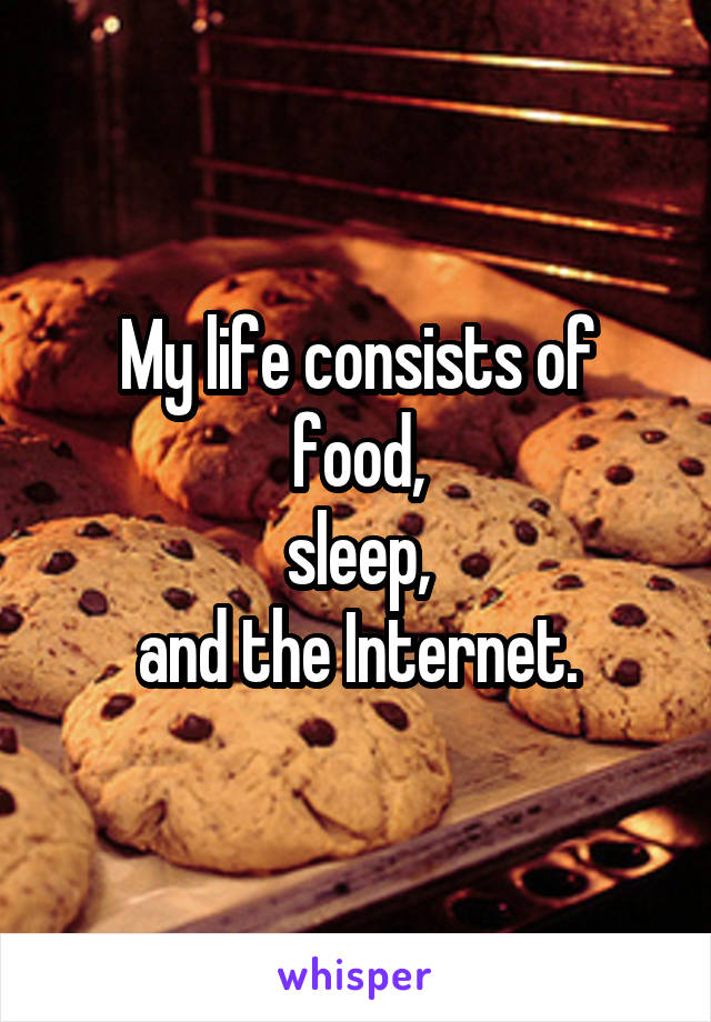 My life consists of
food,
sleep,
and the Internet.