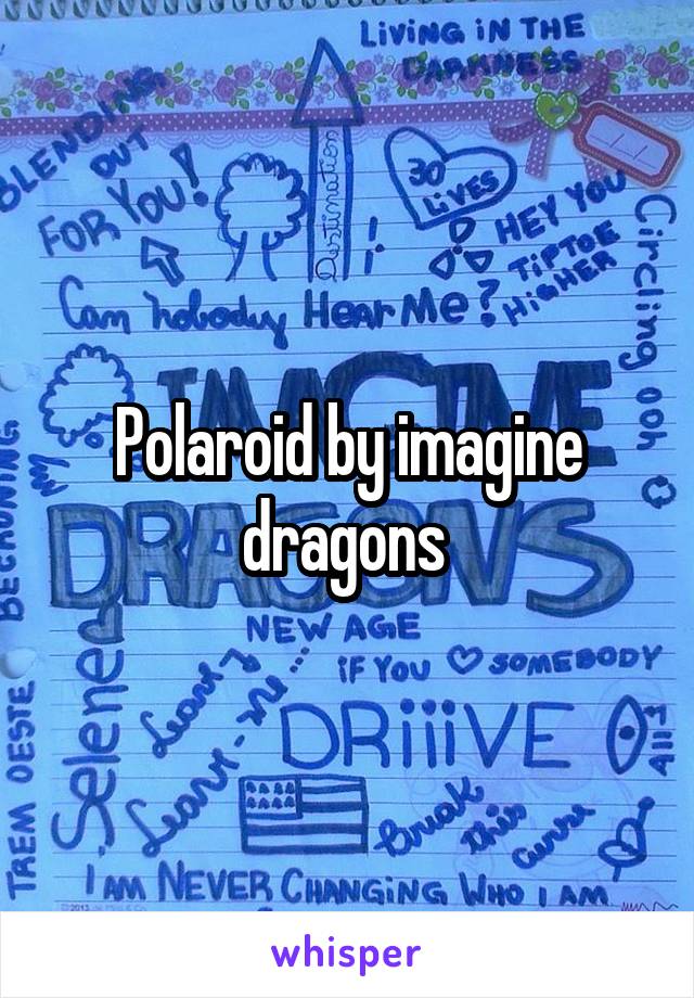 Polaroid by imagine dragons 