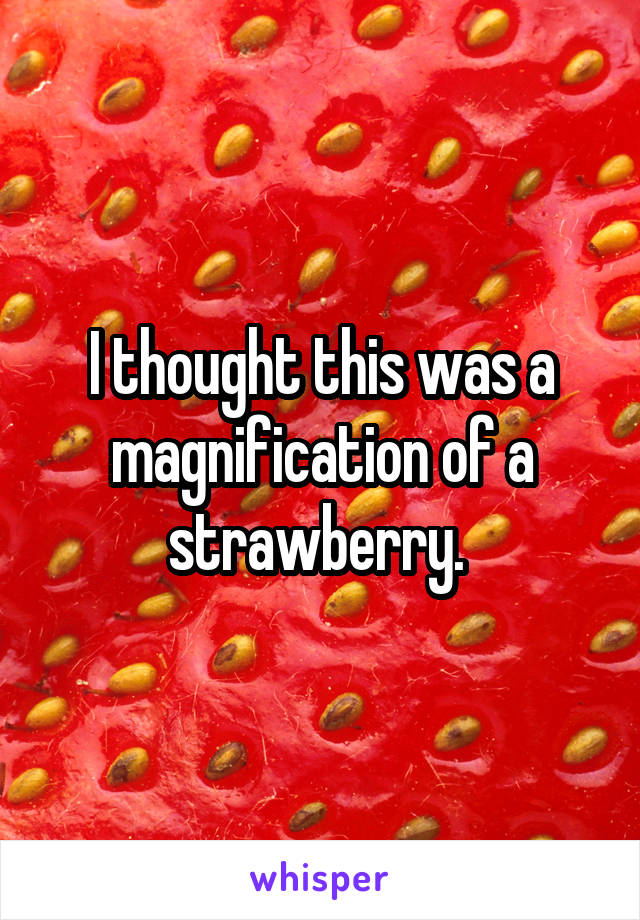 I thought this was a magnification of a strawberry. 