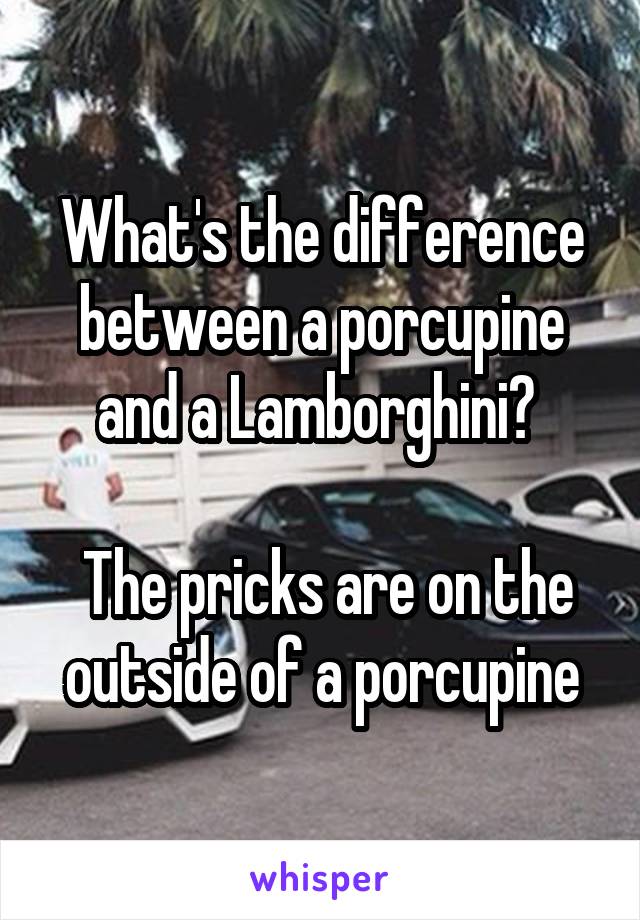 What's the difference between a porcupine and a Lamborghini? 

 The pricks are on the outside of a porcupine