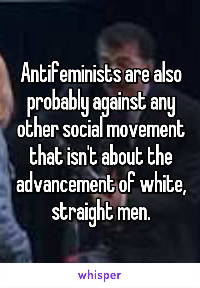 Antifeminists are also probably against any other social movement that isn't about the advancement of white, straight men.