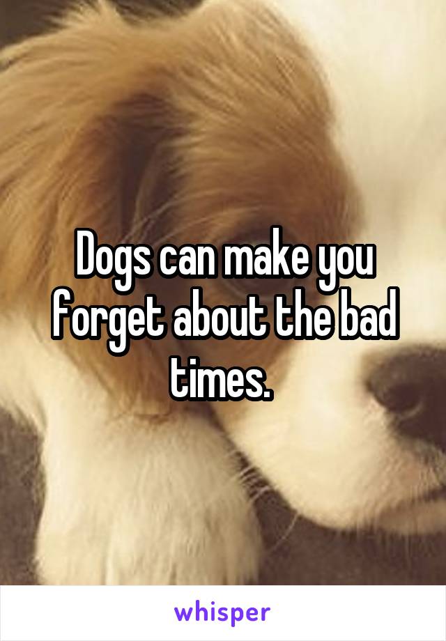 Dogs can make you forget about the bad times. 