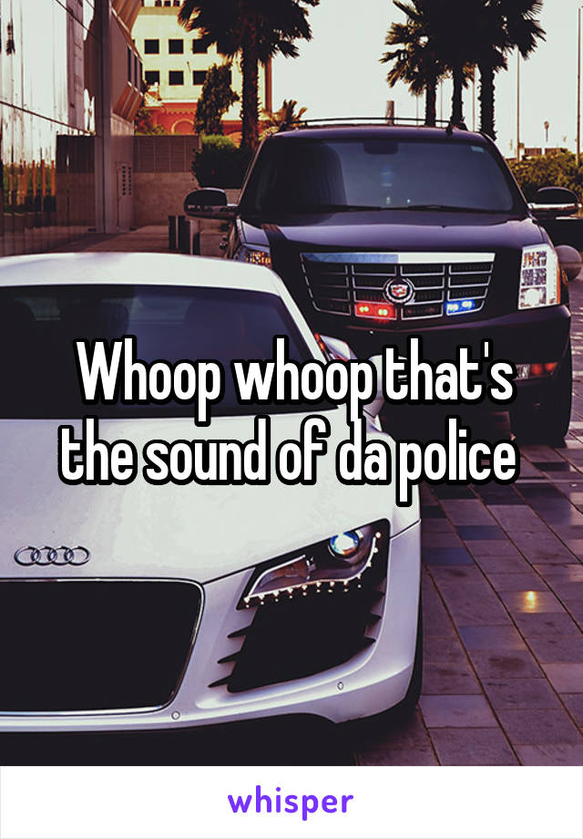 Whoop whoop that's the sound of da police 