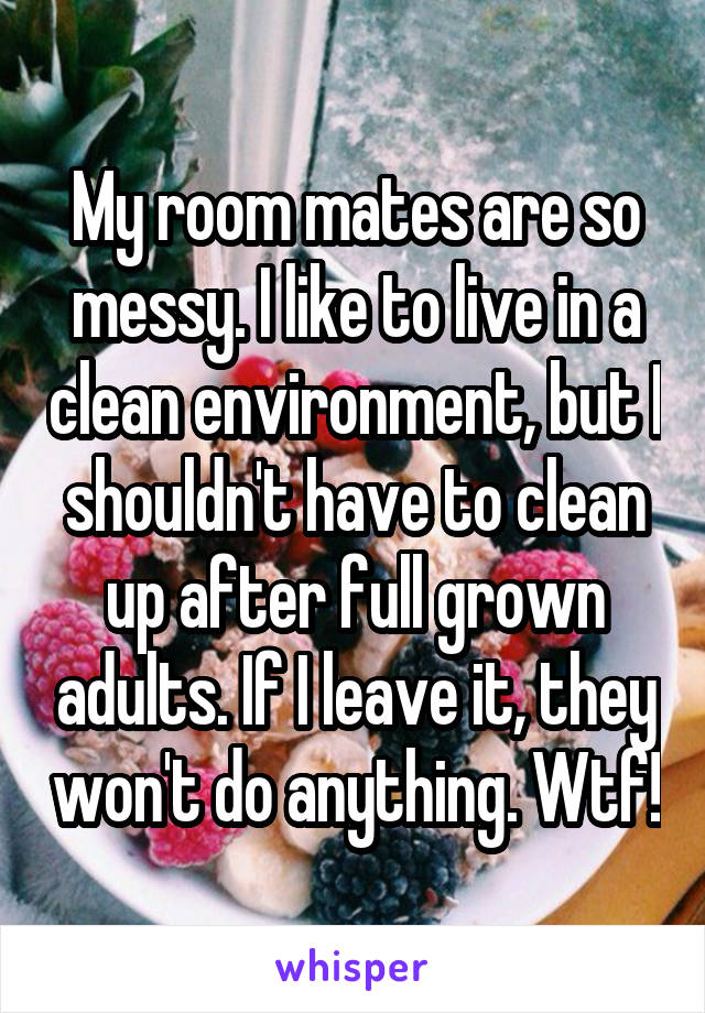 My room mates are so messy. I like to live in a clean environment, but I shouldn't have to clean up after full grown adults. If I leave it, they won't do anything. Wtf!
