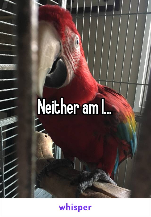 Neither am I... 