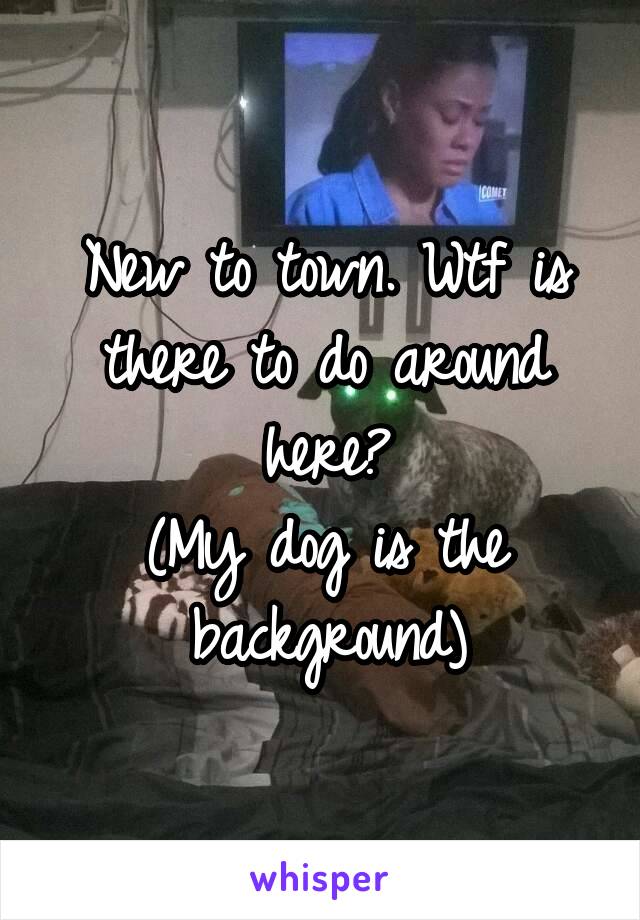 New to town. Wtf is there to do around here?
(My dog is the background)