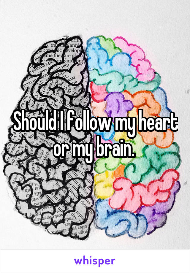 Should I follow my heart or my brain. 