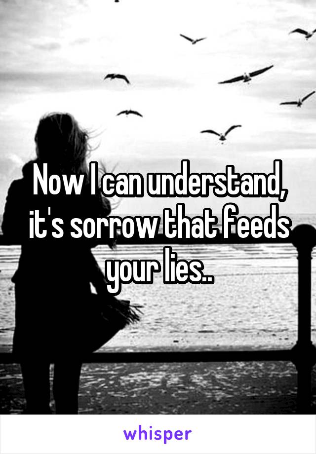 Now I can understand, it's sorrow that feeds your lies..