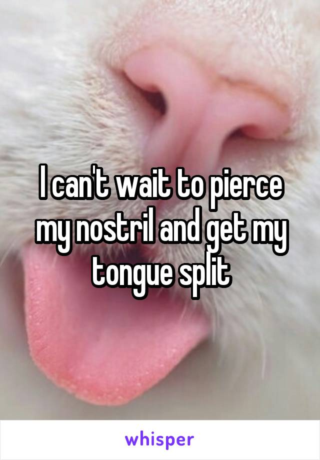 I can't wait to pierce my nostril and get my tongue split
