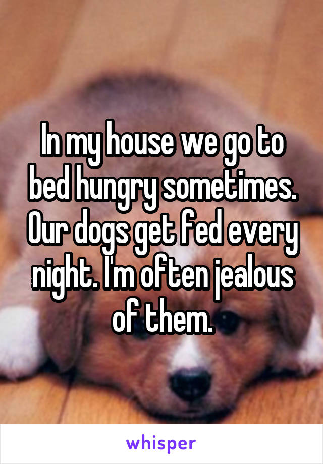 In my house we go to bed hungry sometimes. Our dogs get fed every night. I'm often jealous of them.
