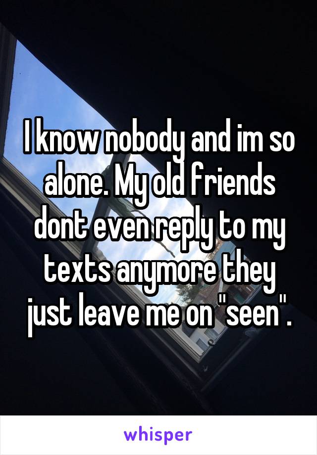I know nobody and im so alone. My old friends dont even reply to my texts anymore they just leave me on "seen".