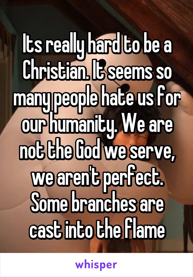 Its really hard to be a Christian. It seems so many people hate us for our humanity. We are not the God we serve, we aren't perfect. Some branches are cast into the flame