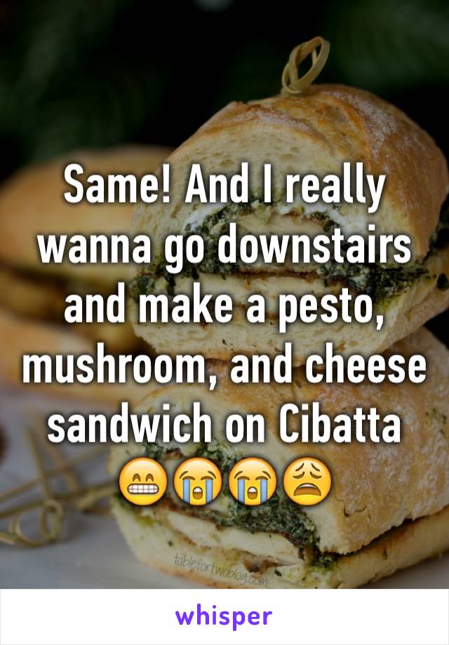 Same! And I really wanna go downstairs and make a pesto, mushroom, and cheese sandwich on Cibatta 😁😭😭😩