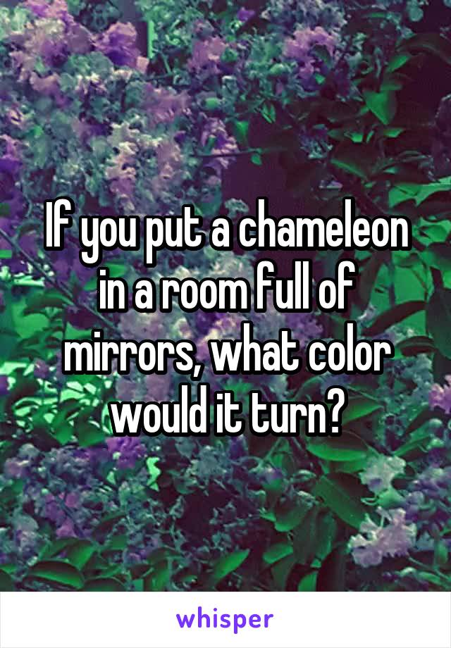 If you put a chameleon in a room full of mirrors, what color would it turn?