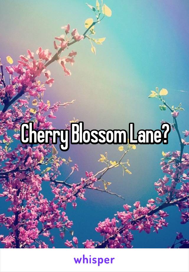 Cherry Blossom Lane?