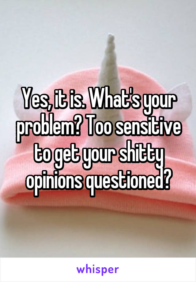 Yes, it is. What's your problem? Too sensitive to get your shitty opinions questioned?