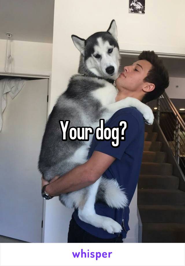 Your dog?