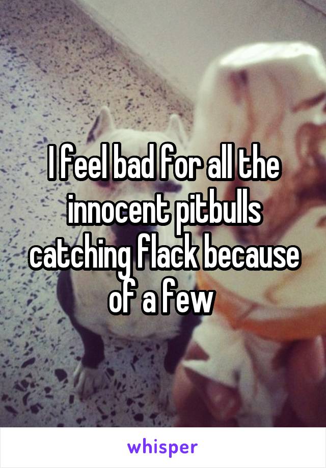I feel bad for all the innocent pitbulls catching flack because of a few 
