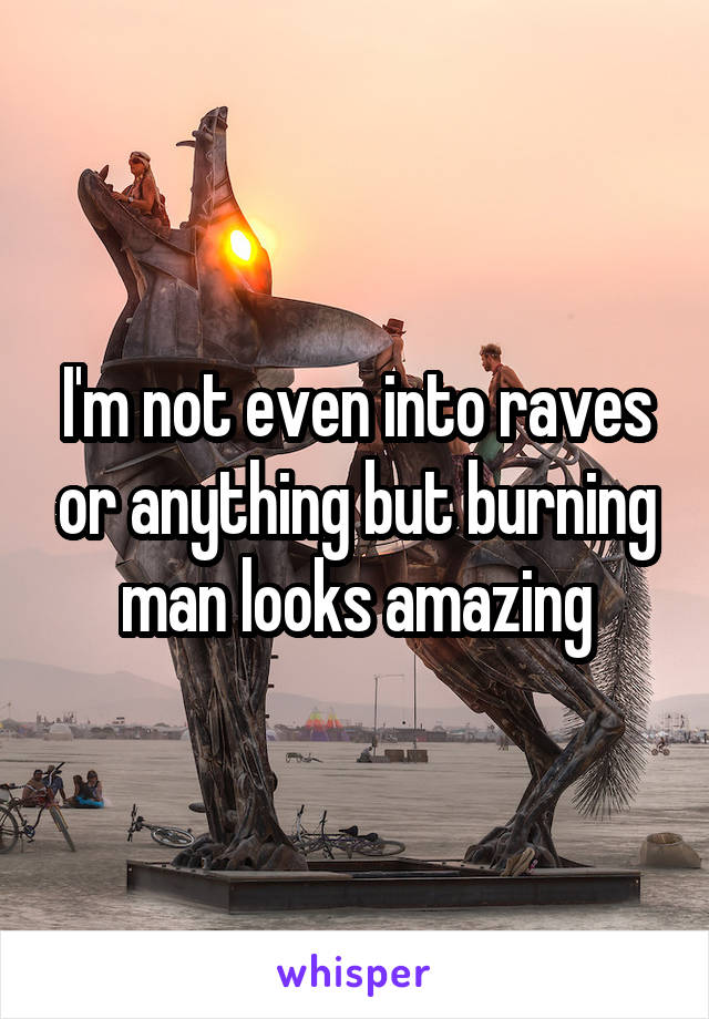 I'm not even into raves or anything but burning man looks amazing