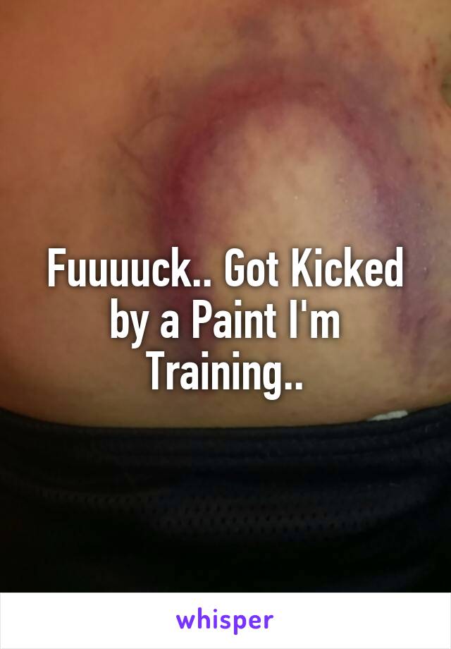 Fuuuuck.. Got Kicked by a Paint I'm Training..