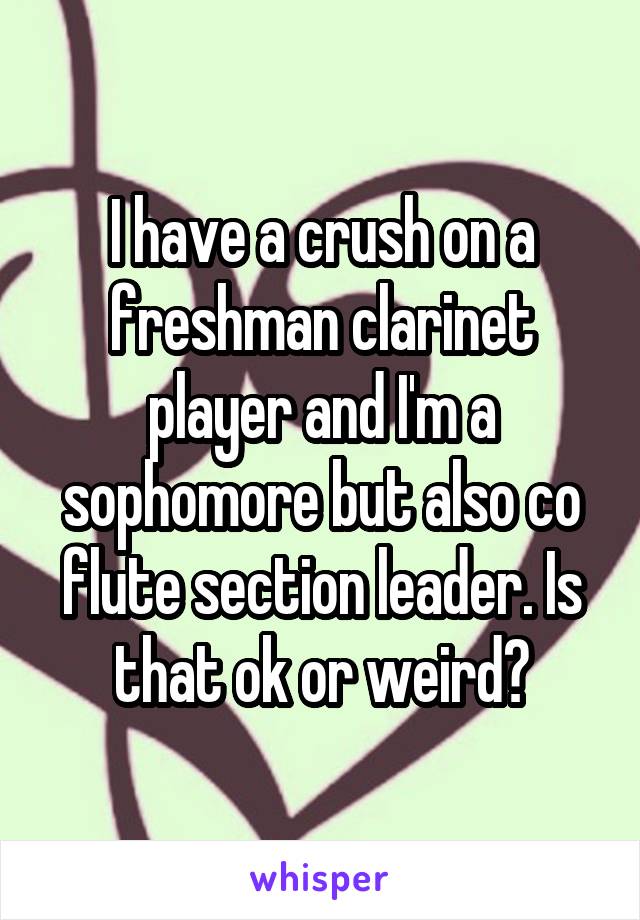 I have a crush on a freshman clarinet player and I'm a sophomore but also co flute section leader. Is that ok or weird?