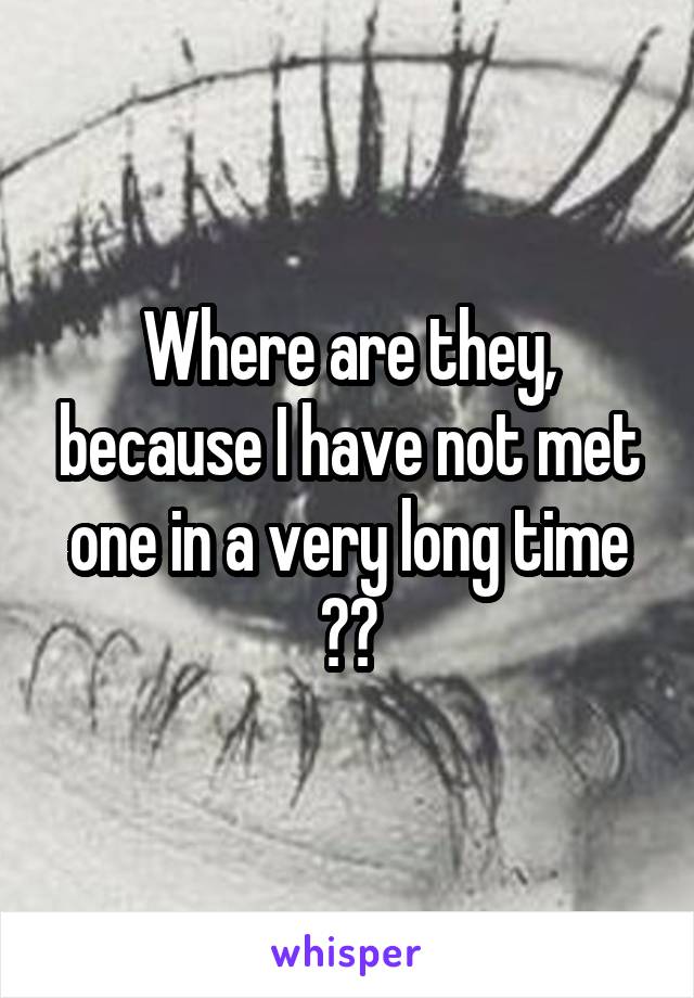 Where are they, because I have not met one in a very long time ??