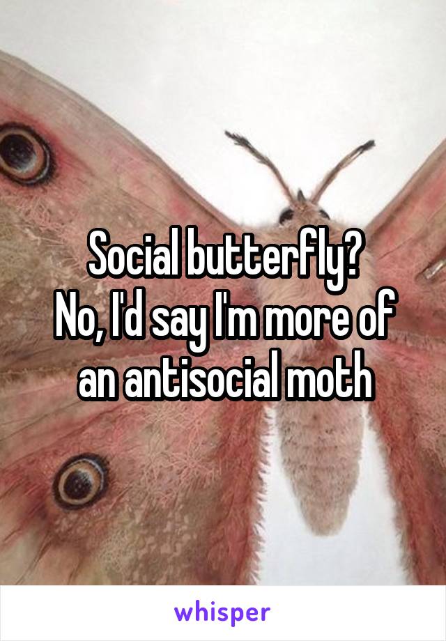 Social butterfly?
No, I'd say I'm more of an antisocial moth