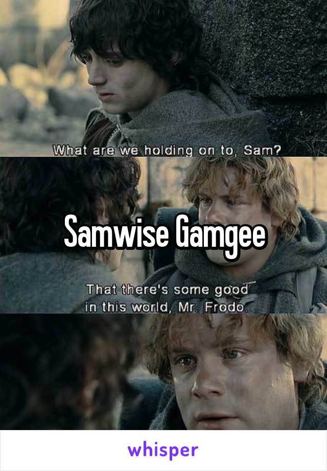 Samwise Gamgee