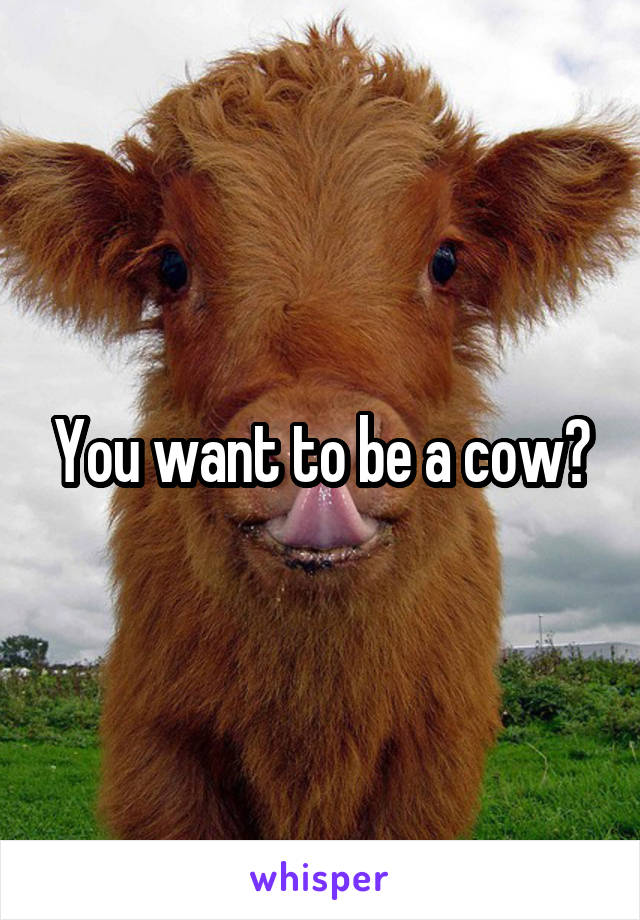 You want to be a cow?