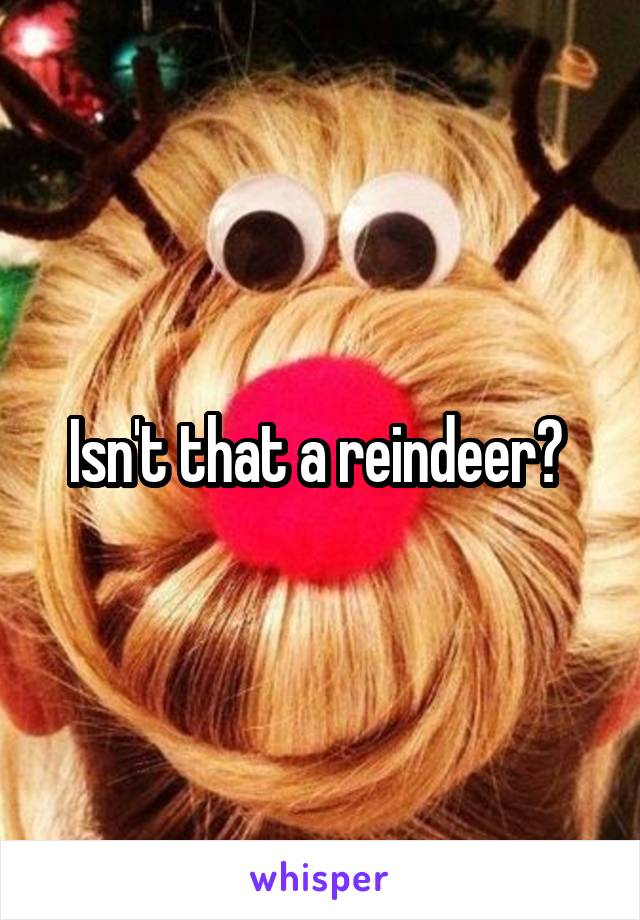 Isn't that a reindeer? 