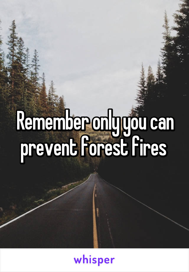 Remember only you can prevent forest fires 