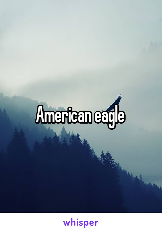 American eagle 